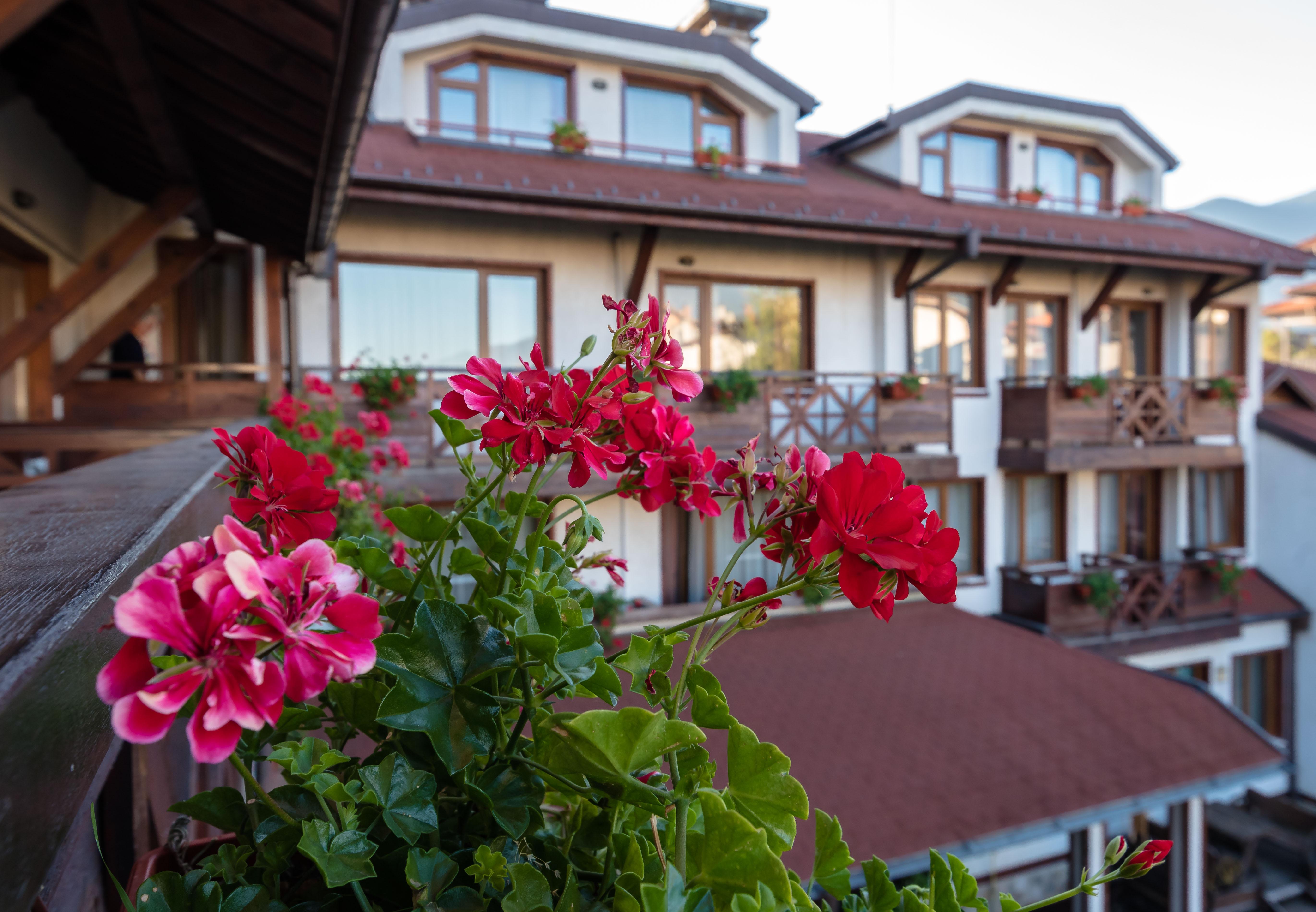Evelina Palace Hotel Bansko Ngoại thất bức ảnh